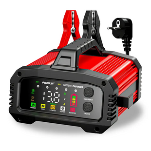 Foxsur FPT-250 зарядний пристрій 12V/24V для акумуляторів
