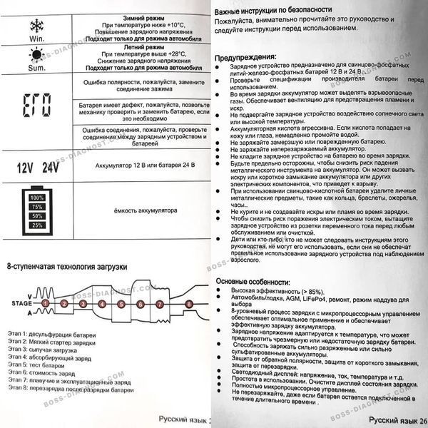 Зарядний пристрій для акумуляторів Foxsur FPT-250 (12V 25A / 24V 15A, 6-400Ah), бустер, імпульсний, автоматичний, FPT-250 фото
